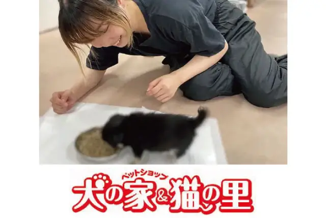 ペットショップスタッフ／未経験・他業種からの転職歓迎／週休2日＆残業ほぼ無し◎